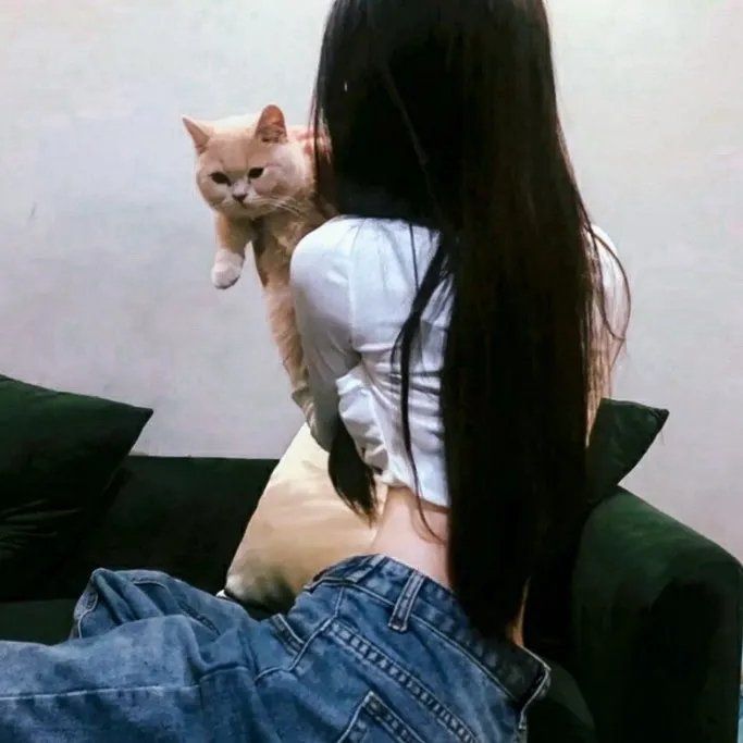 开始跳舞吧 第二季